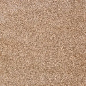 43 Secret New, Sensualite - 5-Meter Breit Teppichboden