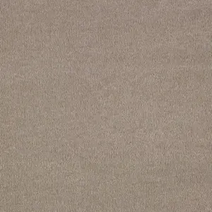 40 Sentiment, Sensualite - 4-Meter Breit Teppichboden