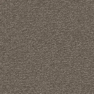 5X81 Fascination, Lyrica - 5-Meter Breit Teppichboden
