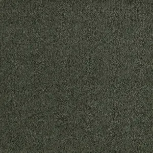 0590 MOOS SmartStrand - 5-Meter Breit Teppichboden