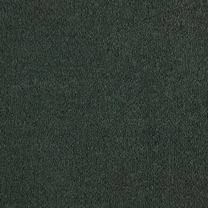 0691 SATINJADE SmartStrand - 4-Meter Breit Teppichboden