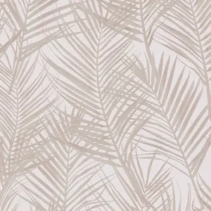 Attractive 2 - Vliestapete