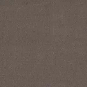 0030 DOVE X Wohnen - 5-Meter Breit Teppichboden