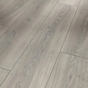 Eiche Studioline lichtgrau Trendtime 6