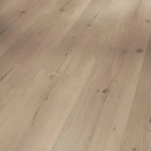 Eiche Infinity grau Basic 5.3 - Klick-Vinyl, Rigid Vinyl