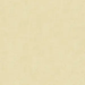 History of Art 2 - Vliestapete