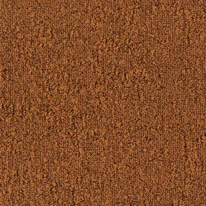 Tarkett - 710495040 B751 2056