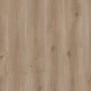 Shamal Greige Home for Future - zum Kleben