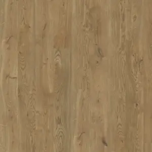 Seregenti  Aware Collection - Designboden zum Klicken