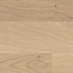 HARO Sonderedition NKL31 - 544659 Steineiche