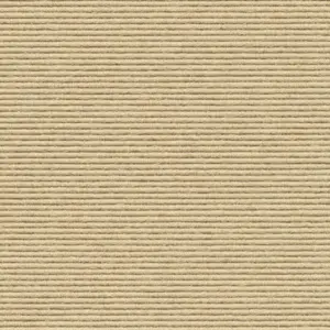 tretford Interland - 2020211611 611 - Birne