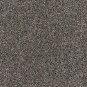 0834 GRAU SmartStrand - 4-Meter Breit Teppichboden