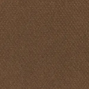 261 CAMEL Pilotis - 4-Meter Breit Teppichboden