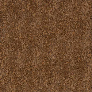 Tarkett DESSO AirMaster Earth - 712244006 AD31 2067