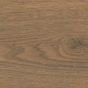 HARO Tritty 100 Campus, Tritty 100 Campus 4V Silent Pro - 544758 Eiche Flavia geräuchert