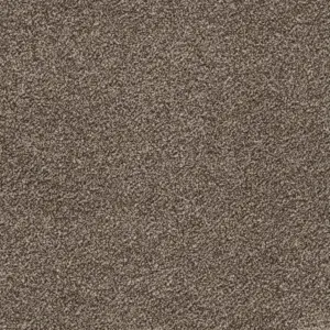 45 Glory - 4-Meter Breit Teppichboden