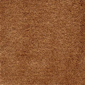 48 Lounge - 5-Meter Breit Teppichboden