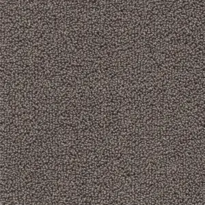 48 Pride - 4-Meter Breit Teppichboden