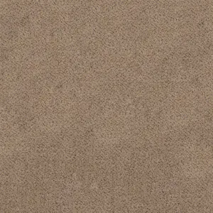 Associated Weavers Magma, Maverick Wall to Wall - FMMGATA49400P 49