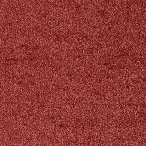 19 Sensation New, Sensualite - 5-Meter Breit Teppichboden
