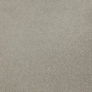 0250 NATURELL SmartStrand - 5-Meter Breit Teppichboden