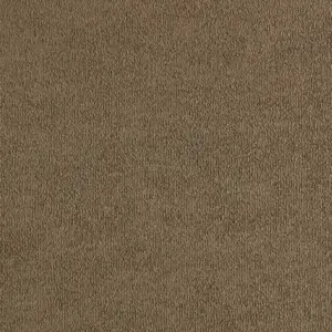 0210 TABAK SmartStrand - 4-Meter Breit Teppichboden