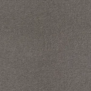 0831 GRAU SmartStrand - 4-Meter Breit Teppichboden