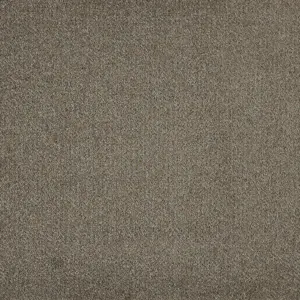 0260 BEIGE X Wohnen - 5-Meter Breit Teppichboden