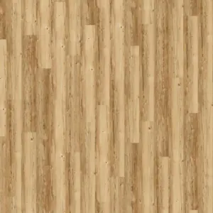 Classen - FDYB001 Sprucewood