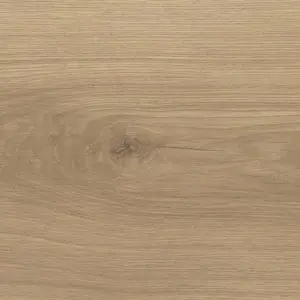 HARO Tritty 100 Gran Via, Tritty 100 Gran Via 4V - 538769 Eiche Emilia puro