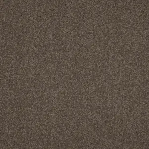 Associated Weavers Miracle, Maverick Wall to Wall - FMICLTA49400P 49