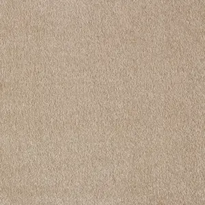 36 Obsession, Sensualite - 5-Meter Breit Teppichboden