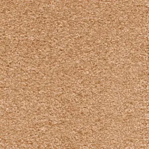 80 Suspense, Sensualite - 4-Meter Breit Teppichboden