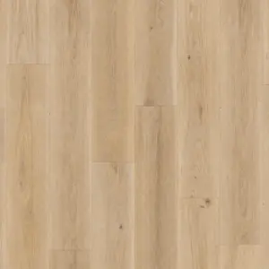 Tarkett ID Inspiration 55 AUTHENTICS - 24513091 AUTHENTICS - Highland Oak - Golden