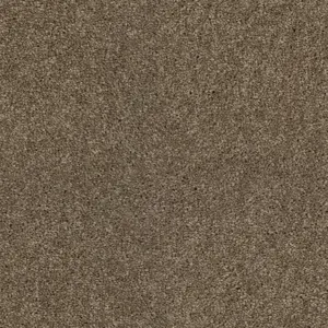 0430 SABLE SmartStrand - 5-Meter Breit Teppichboden