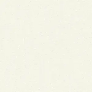 Black & White - Vliestapete