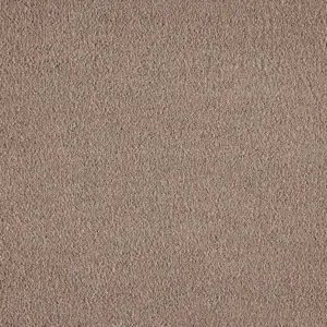 0260 BEIGE X Wohnen - 5-Meter Breit Teppichboden