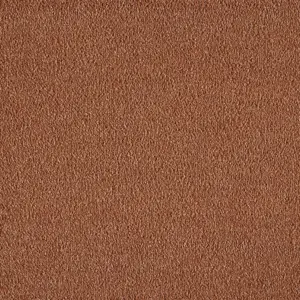 0310 ROST X Wohnen - 5-Meter Breit Teppichboden