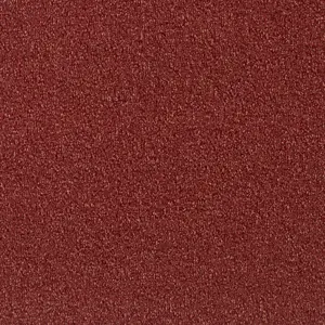 120 CORAL Pilotis - 4-Meter Breit Teppichboden