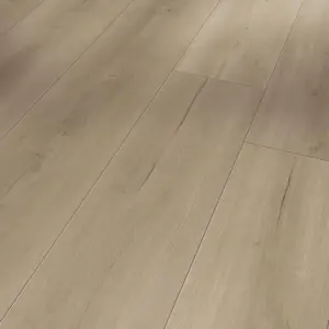 Eiche Loft grau Lebhafte Struktur 4V Trendtime 6