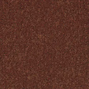 Tarkett DESSO AirMaster Earth - 712244008 AD31 2091