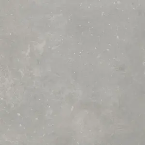 Gerflor Primetex - 15482064 LEONE CLEAR