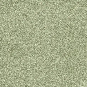 20 Glory - 4-Meter Breit Teppichboden