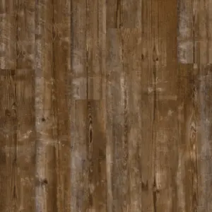Kiefer Sonnenuntergang Alpha Vinyl Bloom - Klick-Vinyl, Rigid Vinyl