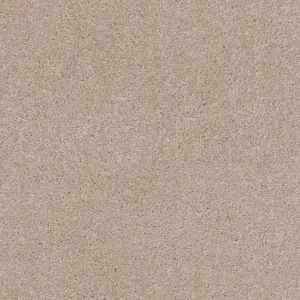0251 OATMEAL SmartStrand - 5-Meter Breit Teppichboden