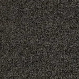0810 CHARCOAL SmartStrand - 5-Meter Breit Teppichboden