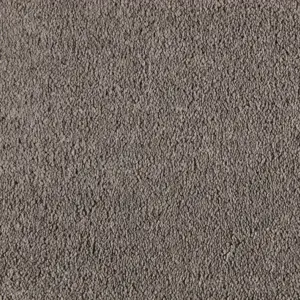 0420 CORNSTALK SmartStrand - 4-Meter Breit Teppichboden