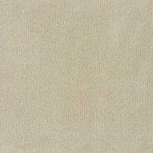 0260 CAMEL X Wohnen - 5-Meter Breit Teppichboden