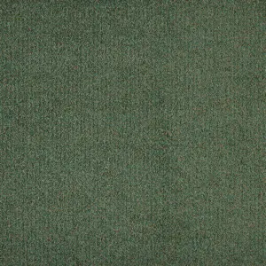 0610 EFEU X Wohnen - 4-Meter Breit Teppichboden