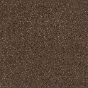 282 HAVANNA Pilotis - 4-Meter Breit Teppichboden